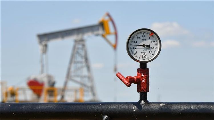 petrol3-158581.jpg