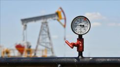 petrol3-158581.jpg